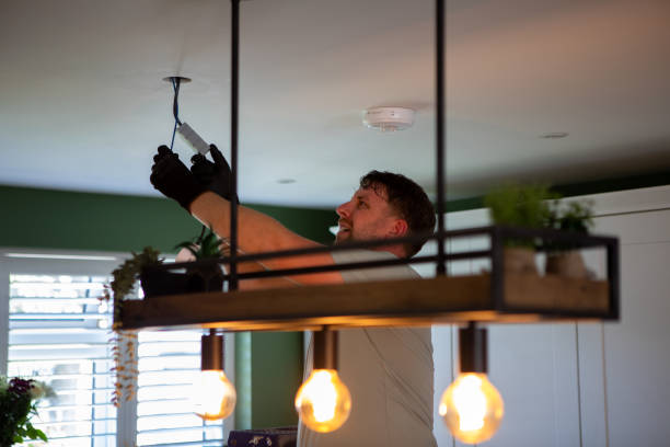 Best Home Electrical Repair  in Forest Lake, IL